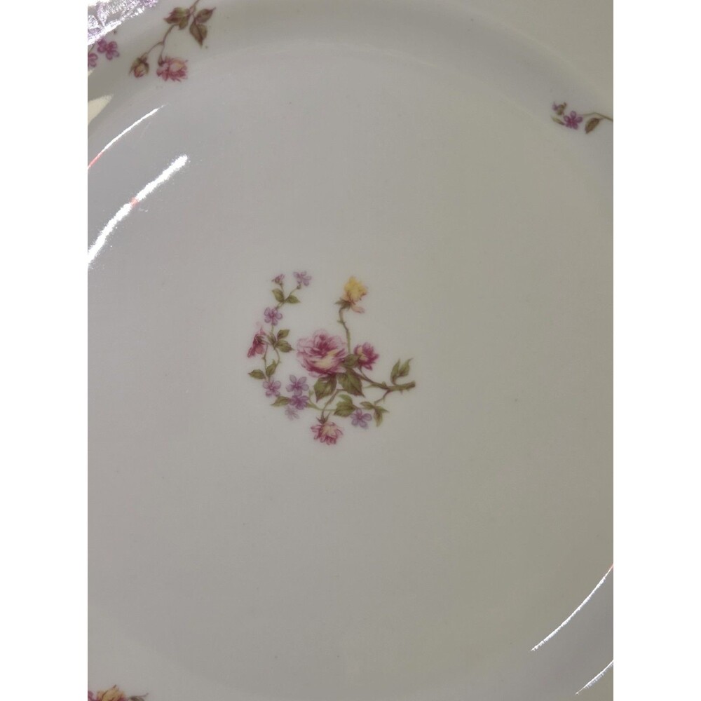 Antique Set Of 6 Haviland Limoges Scalloped Dinner Plates Floral Roses Schleiger - Picture 3 of 16